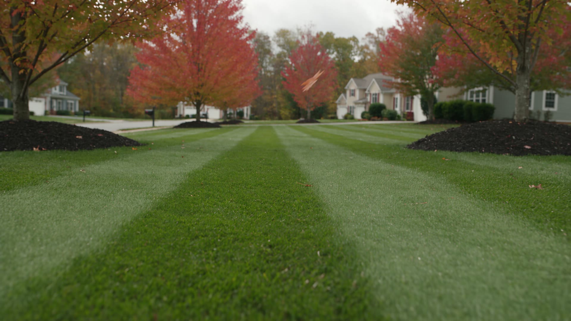 A freshly raked, striped front lawn at a Camp Hill home after AllPro's fall cleanup
